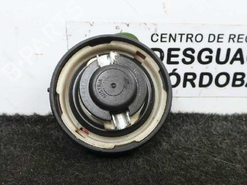 Fuel flap MERCEDES-BENZ C-CLASS (W205) C 200 d (205.007) | BP12216519C131 