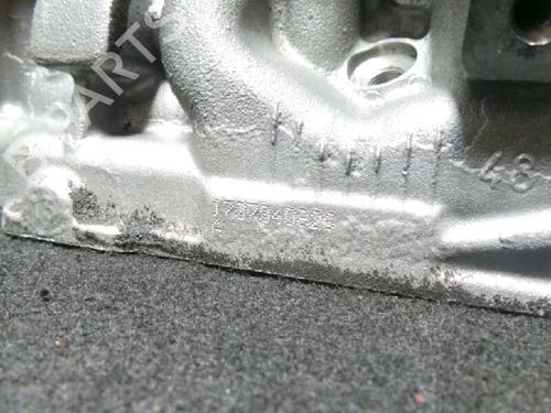 Cylinder head NISSAN PRIMERA Hatchback (P12) 1.9 dCi | BP10972526M5 
