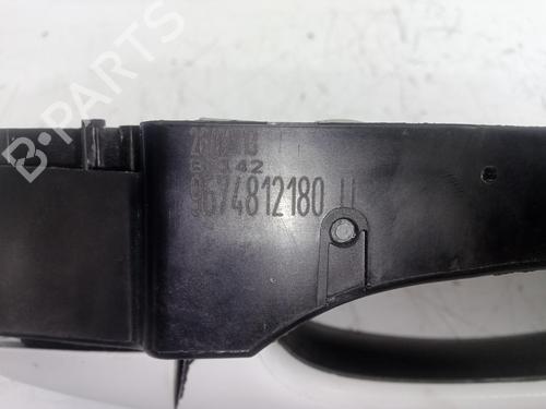 Rear left exterior door handle CITROËN C4 II (NC_) 1.6 HDi 90 | BP29512410C130 