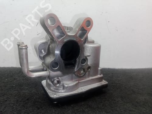 Egr NISSAN CABSTAR (F24M, F24W) 35.15 DCI, 45.15 DCI 3.0 (F24M) | BP29447493M69 