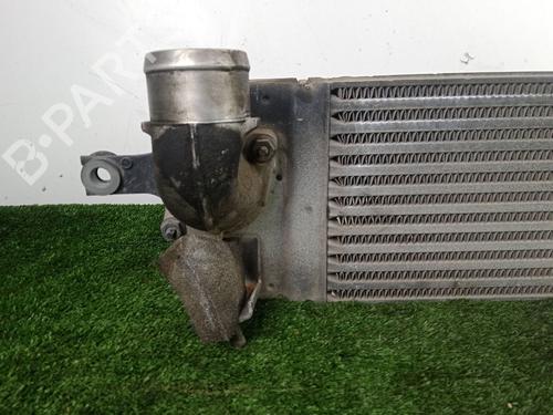 Intercooler RENAULT KOLEOS I (HY_) 2.0 dCi (HY0K) | BP39514365M30 - Image 3