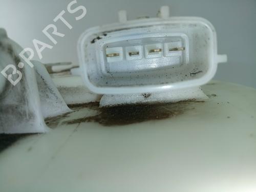 Fuel pump RENAULT MEGANE III Hatchback (BZ0/1_, B3_)  | BP13019434M76 