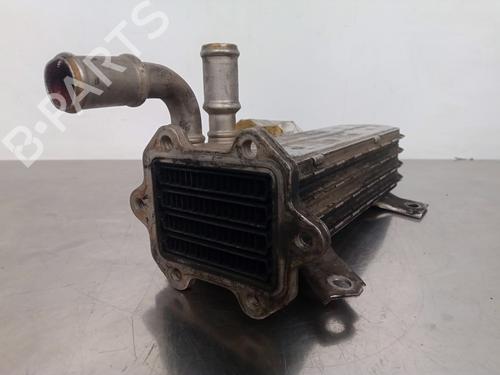 Egr SEAT LEON (1M1) 1.9 TDI | BP15106153M69 