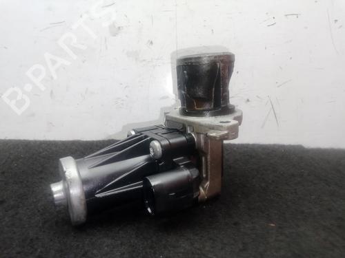 Egr FIAT DOBLO Cargo (263_) 1.3 D Multijet (263WXU1A, 263ZXU1A, 263WYB1A, 263ZYB1A) | BP29447501M69 