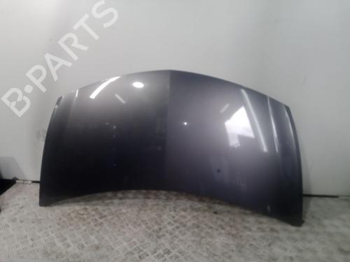 Used Hood RENAULT CLIO III Grandtour (KR0/1_) 1.2 16V (KR0P) (101 hp) 24671598