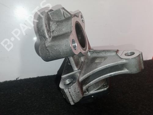 Egr NISSAN X-TRAIL III (T32_, T32R, T32RR)  | BP11041261M69 