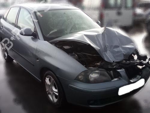 Cylinder head SEAT IBIZA III (6L1) 1.9 TDI | BP27175613M5 