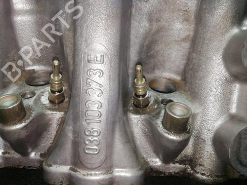 Cylinder head SEAT CORDOBA (6K2) 1.9 TDI | BP31931115M5 