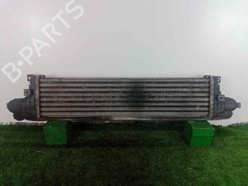 Intercooler JAGUAR X-TYPE I (X400) 2.0 D | BP29983179M30