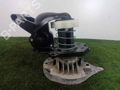 Support RENAULT CLIO III (BR0/1, CR0/1)  | BP29438146C155 