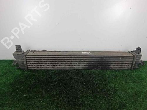 Intercooler FIAT DUCATO Van (250_) 150 Multijet 2,3 D | BP22970367M30 