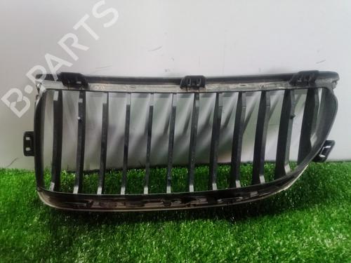 Grille BMW 3 (E90) 320 d | BP10624905C40 