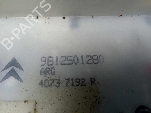 Rear left lock PEUGEOT 2008 I (CU_)  | BP6965640C100