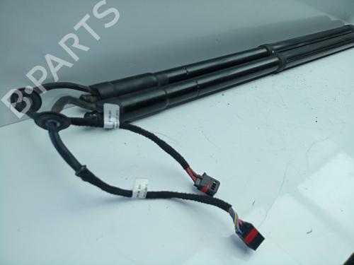 Tailgate lift support FORD C-MAX II (DXA/CB7, DXA/CEU) 2.0 TDCi | BP29460354C138 