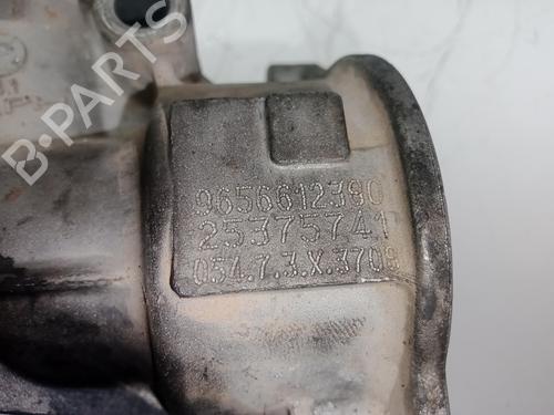 Egr PEUGEOT 307 (3A/C) 2.0 HDi 135 | BP15348901M69 