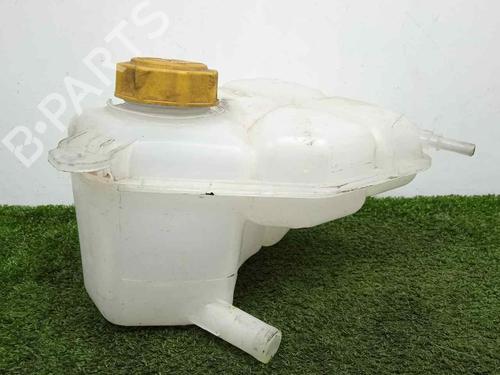 Used Expansion tank FORD FIESTA V (JH_, JD_) 1.4 16V (80 hp) 20324073