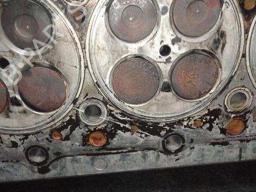 Cylinder head KIA CARNIVAL II (GQ) 2.9 CRDi | BP17082464M5 