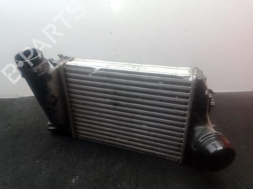 Intercooler Intercooler RENAULT MEGANE IV Hatchback (B9A/M/N_) 1.2 TCe 130 (B9MR) (130 hp) 36554361 36554361