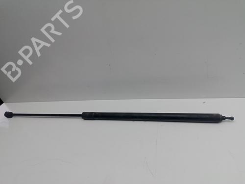 Used Hood lift support RENAULT MEGANE III Hatchback (BZ0/1_, B3_) [2008-2025]  14255202
