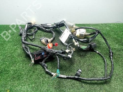 BP29983193O1 main image