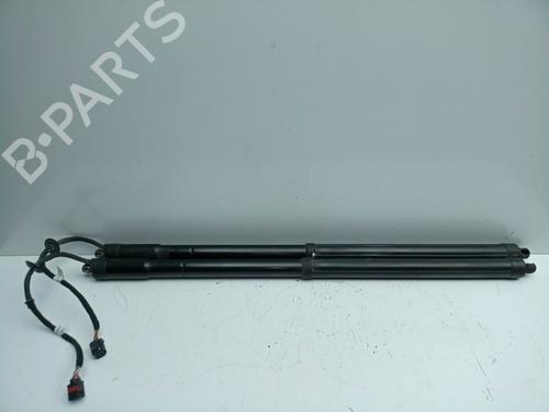 Used Tailgate lift support FORD C-MAX II (DXA/CB7, DXA/CEU) 2.0 TDCi (140 hp) 29460354