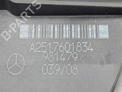 Front right exterior door handle MERCEDES-BENZ R-CLASS (W251, V251)  | BP15554561C129 