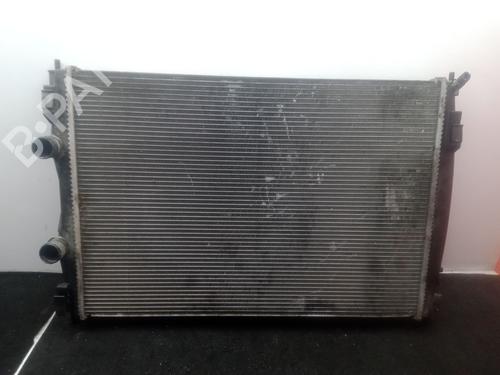 Water radiator NISSAN QASHQAI I (J10, NJ10) 2.0 dCi | BP29450535M31 