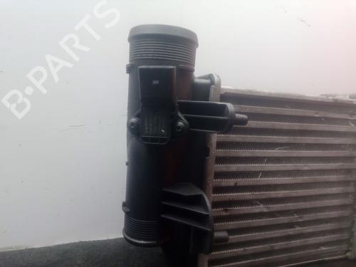 Intercooler AUDI A6 C6 (4F2) 3.0 TDI quattro | BP30902861M30