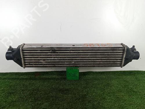 Intercooler FIAT DOBLO Cargo (263_) 1.3 D Multijet (263WXU1A, 263ZXU1A, 263WYB1A, 263ZYB1A) | BP25725373M30 