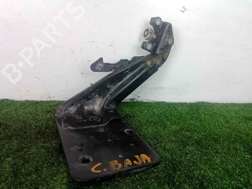 Hinge/Door check strap RENAULT MASTER III Van (FV) | BP28997582C146