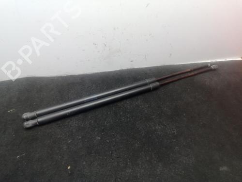 Tailgate lift support VW CADDY III Box Body/MPV (2KA, 2KH, 2CA, 2CH) 1.9 TDI | BP29983207C138