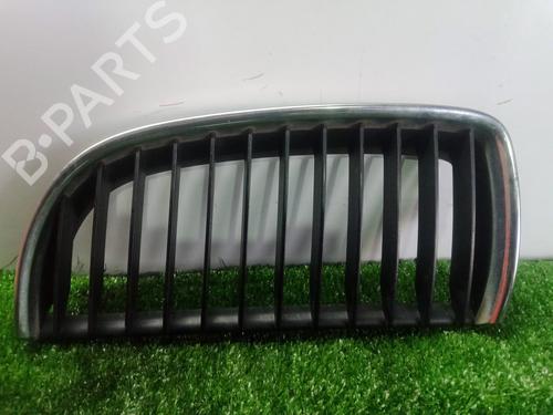 Grille BMW 3 (E90) 320 d | BP10624904C40 