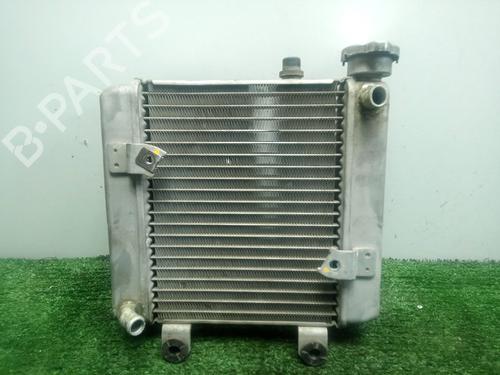 Køler HONDA MOTORCYCLES FES FES 125 S-Wing (JF12) (14 hp) 24671533