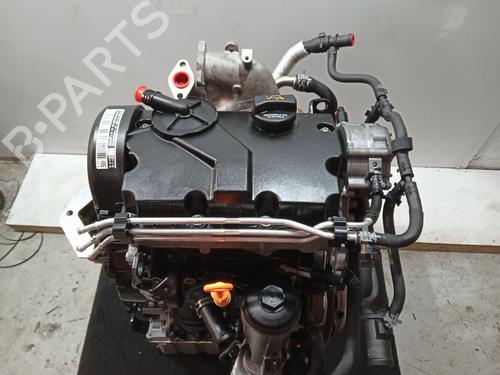 Motor SEAT CORDOBA (6L2) 1.4 TDI | BP29337731M1 