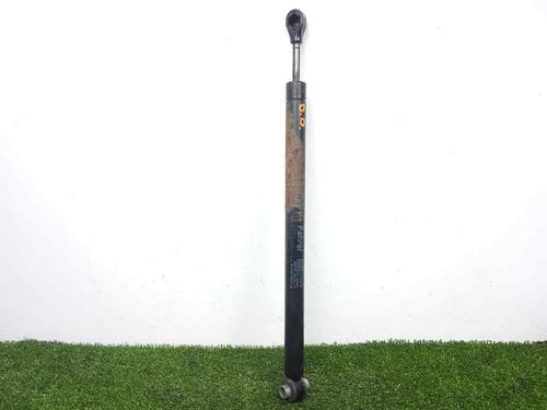 Used Hinge/Door check strap MERCEDES-BENZ S-CLASS (W221, V221) S 320 CDI (211 hp) 14255352
