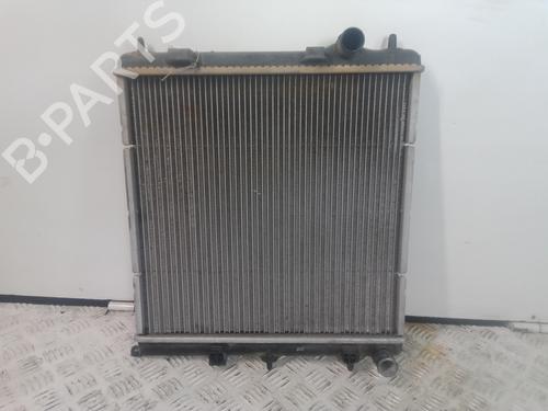 Water radiator PEUGEOT 208 I (CA_, CC_)  | BP21219664M31 