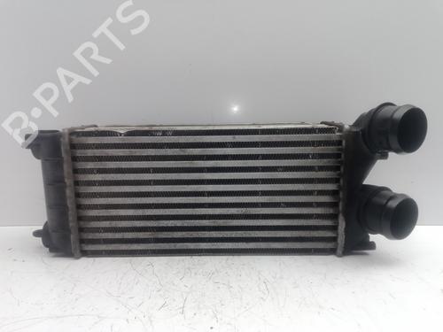 Used Intercooler CITROËN C4 II (NC_) 1.6 HDi 90 (92 hp) 30287993
