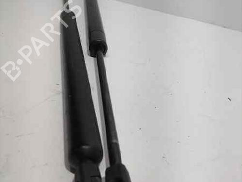 Tailgate lift support SEAT ALHAMBRA (7V8, 7V9)  | BP17522041C138 