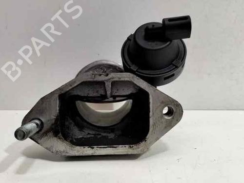 Throttle body AUDI A4 B6 (8E2) 2.5 TDI | BP17529030M82 
