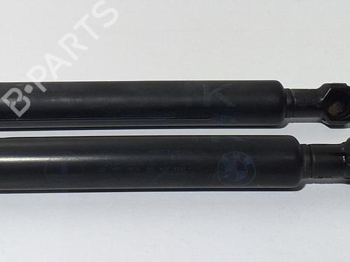 Tailgate lift support BMW X5 (E53) 3.0 d | BP13965335C138 