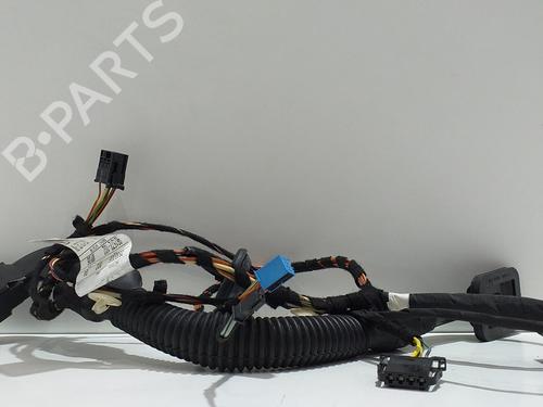 Left rear door MERCEDES-BENZ R-CLASS (W251, V251) R 500 4-matic (251.072, 251.172) | BP8148402C4 