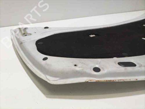 Hood RENAULT CLIO III (BR0/1, CR0/1)  | BP16254612C1 