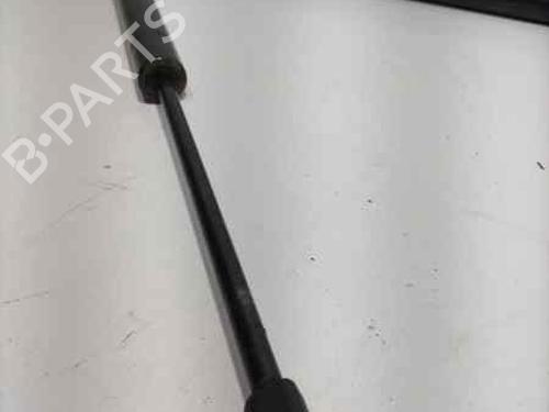 Tailgate lift support SEAT ALHAMBRA (7V8, 7V9)  | BP17522041C138 