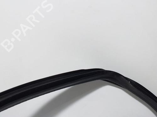 Rubber door seal NISSAN TERRANO II (R20) 2.7 TDi 4WD | BP13965319C142 