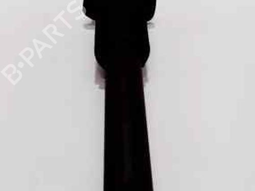 Left rear shock absorber BMW X5 (E53) 3.0 d | BP5867914M18 