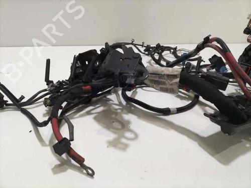 Fuse box RENAULT MEGANE III Hatchback (BZ0/1_, B3_)  | BP16295816E1 