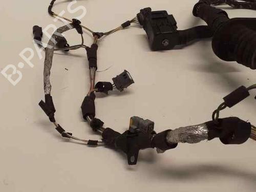 Wiring harness JAGUAR S-TYPE II (X200) 2.7 D | BP13963583E16 