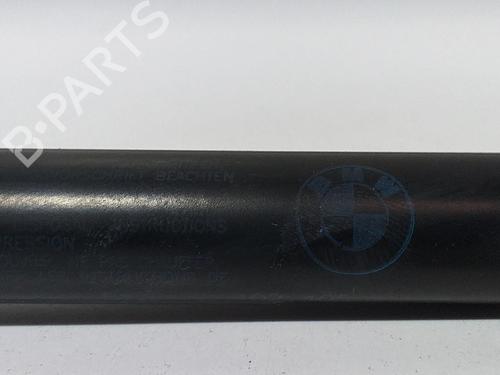 Tailgate lift support BMW X5 (E53) 3.0 d | BP13965335C138 