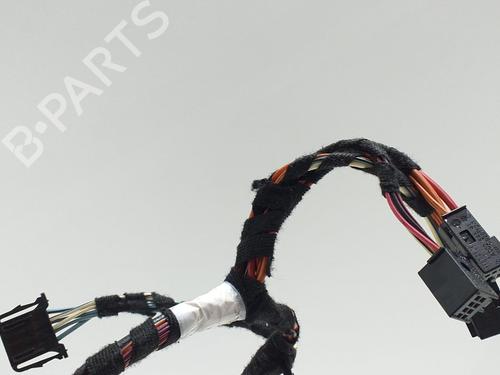 Right front door MERCEDES-BENZ R-CLASS (W251, V251) R 500 4-matic (251.072, 251.172) | BP8148401C3 
