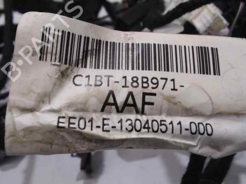 Dashboard FORD FIESTA VI (CB1, CCN) 1.25 | BP6613868C46 